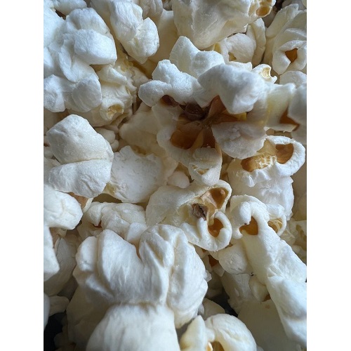 سازنده دستگاه پاپ کورن