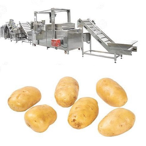 سودآوری کارخانه فرنچ فرایز