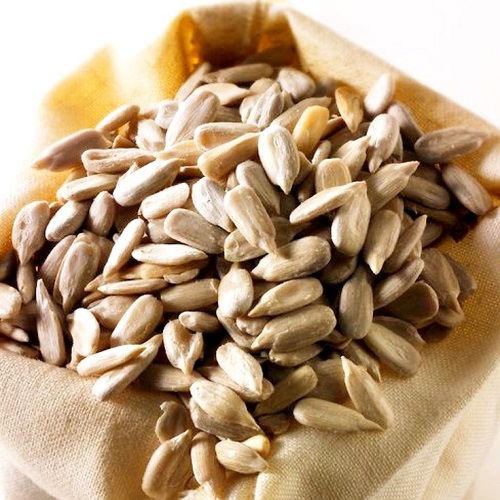 صادرات دستگاه تولید مغز تخمه