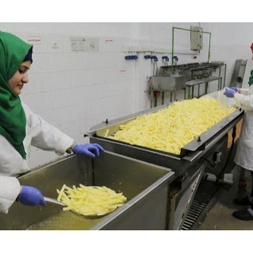 طرح توجیهی فرنچ فرایز