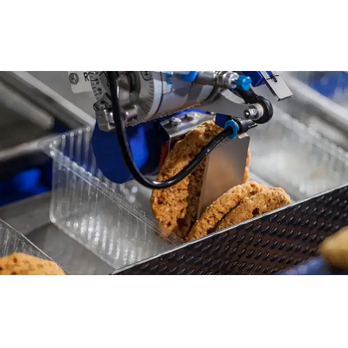 امکان تولید محصولات غذایی با اندازه ‌های مختلف